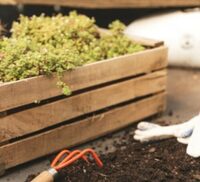 La Maison du jardinier et de la nature se déplace dans votre quartier ! à Bordeaux