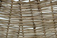 Les petits travaux au jardin à Bordeaux