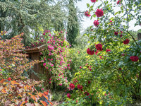 Visite du Jardin de Boissonna à Baleyssagues