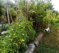 Visite d'un jardin nourricier à Jarnac