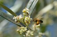 Concours photo à Alès