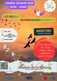 Les oiseaux, reconnaissance et chants à Buzancy