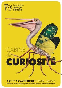 “ Cabinet de Curiosité” - Atelier d’arts plastiques à Nancy