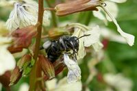 Atelier "SPIPOLL" à Alès