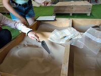 Atelier enfants : Petits fouilleurs en herbe à Liffol-le-Grand