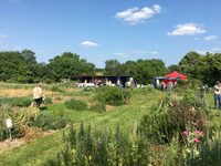 Marché artisanal et de producteurs - Visite découverte du jardin pédagogique de  à Montaigu-Vendée