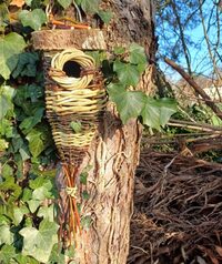 Balade découverte avec un vannier à Saint-Civran