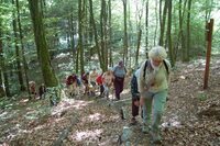Rando nature à Chatel-Chéhéry