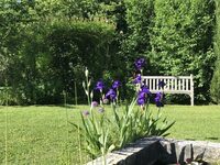 Visite du Jardin de Pomone dédié aux fruits comestibles à Essouvert