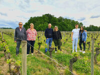 Ici se cultive demain … à Château Champion à Saint-Christophe-des-Bardes