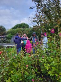 Découverte de la fleur comestible à Coëx