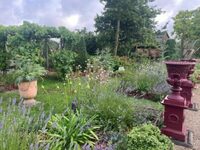 Au jardin des Possibles, un autre regard s'éveille. à Bressuire