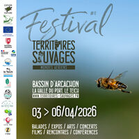 Festival Territoires Sauvages #8 - Mondes aériens à Le Teich