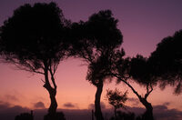 Tour du monde des mythes et légendes d’Afrique à Rouen