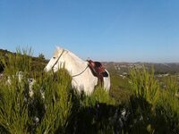 Randonnée à cheval en pension complète ou à la journée aux Ecuries du Petit Roma à Maussane-les-Alpilles
