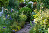 Visite découverte d'un jardin de couleurs et d'odeurs, jardin de peintre à Montoire-sur-le-Loir