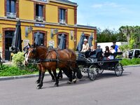 Balade attelée à Carteret à Barneville-Carteret