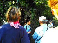 Le remembrement : histoire du bocage à Percy-en-Normandie