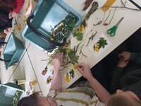 Pour les haut comme trois pommes à Barenton