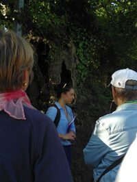 Le remembrement : histoire du bocage à Thèreval