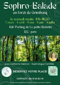 Sophro-Balade en forêt de Grimbosq à Grimbosq