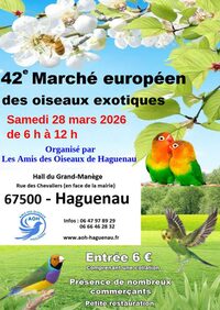 42e marché européen des oiseaux exotiques à Haguenau