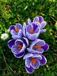 Randonnée : "les coteaux d'Issy" (NEW) à Issy-les-Moulineaux