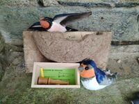 Accueillir les hirondelles à Bon Repos sur Blavet