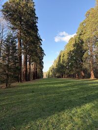 Rando journée à Servon