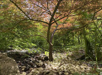 Visite des lilliputiens, une question de point de vue à Saint-Vincent-de-Tyrosse