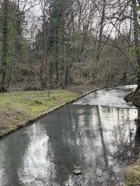 Rando douce à Servon