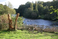 Sortie LPO - observation des oiseaux en bords de Vienne à Losmonerie à Aixe-sur-Vienne