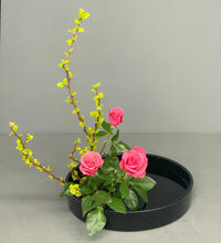 Exposition d'Ikebana (art floral japonais) à La Rochelle