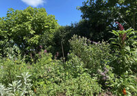 Les plantes au-delà du regard, la visite guidée à Saint-Vincent-de-Tyrosse