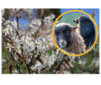 Portes ouvertes sur l'agroécologie à Beyssac