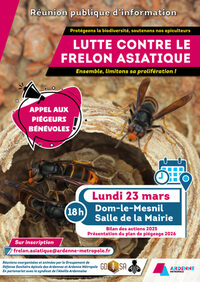 Lutte contre le frelon asiatique à Dom-le-Mesnil
