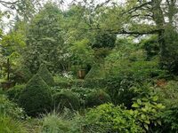 Venez vous égarer dans un petit coin de paradis à Argentonnay