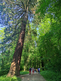 Allons voir le parc de Noisiel ! à Noisiel