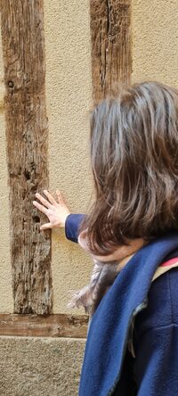 Visite sensorielle : La ville haute éveille vos sens... à Limoges