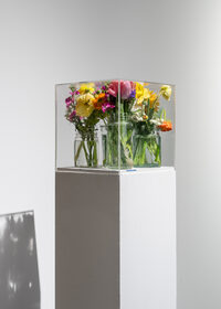 Visite Pollen - Autour des fleurs à Bordeaux