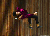 Street Cheval à Toulouse