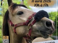 Journée portes ouvertes - Crins des Vosges à Saulxures-sur-Moselotte