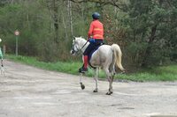 Championnat Départemental et Regional d'Endurance Equestre à Bouzy-la-Forêt