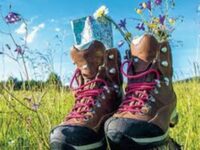 Randonnée pédestre - Le Mesnil Germain à Livarot-Pays-d'Auge