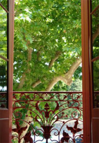 JOURNÉES PORTES OUVERTES LE MIMOSA à Saint-Saturnin-de-Lucian