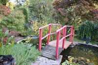Visite du Jardin du Puy de Lys à Saint-Sornin-Lavolps