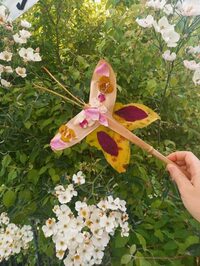 Insectes à la loupe à Wy-dit-Joli-Village