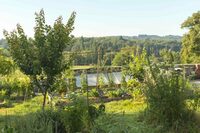 Imiter la forêt au jardin avec le jardin-forêt à Crozant