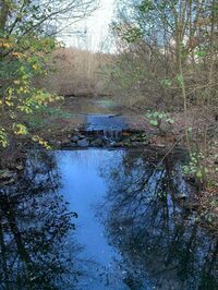 Rando journée à Servon