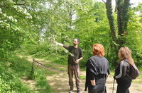 Plantes sauvages comestibles, pique-nique et balade animée en forêt à Pontpoint